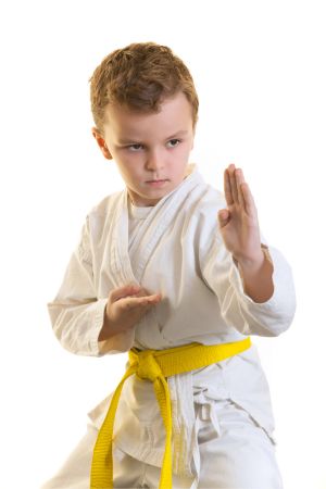 Karate egitimi